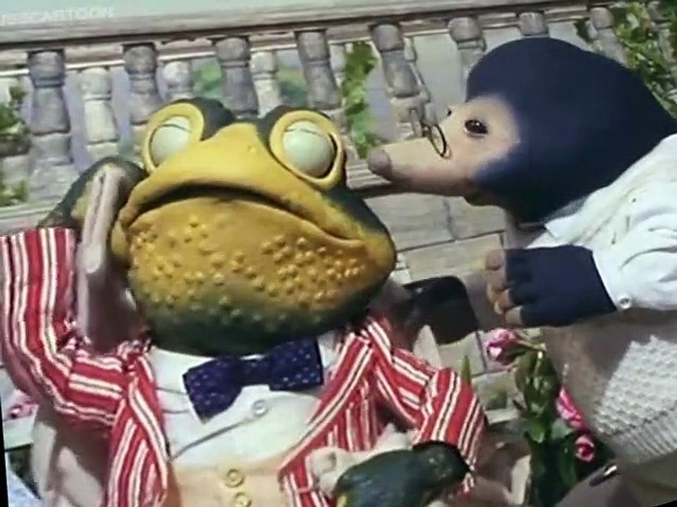 A Tale Of Two Toads A Tale Of Two Toads