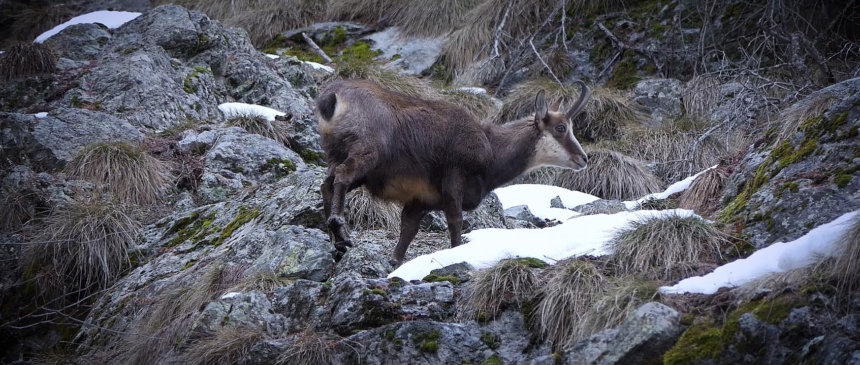 AU COEUR DES HAUTES ALPES