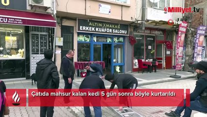 Çatıda mahsur kalan "Arsız” kedi 5 gün sonra kurtarıldı
