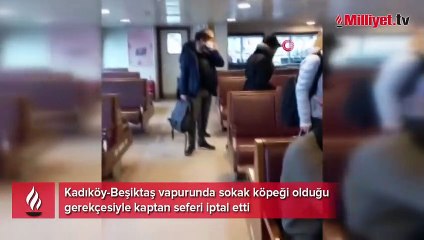 Vapurda köpek krizi: Kaptan seferi iptal etti