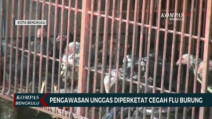 Pengawasan Unggas Diperketat Cegah Flu Burung