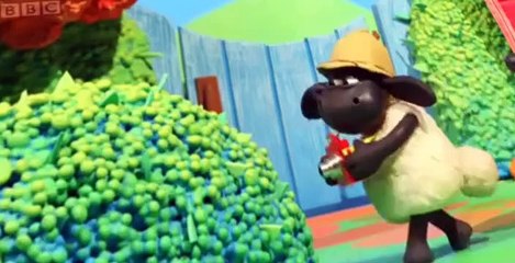 Timmy Time Timmy Time S03 E017 – Timmy on safari