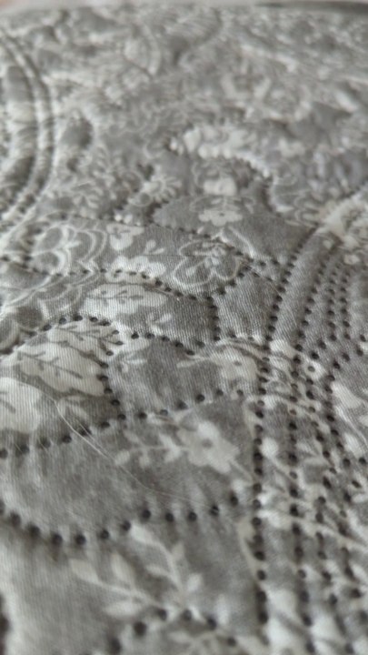 The most beautifull cats