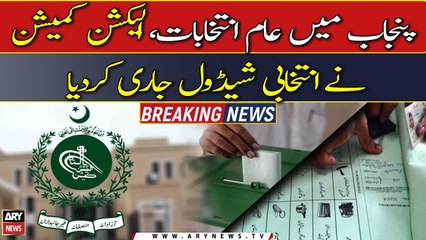 ECP releases election schedule for General polls in Punjab