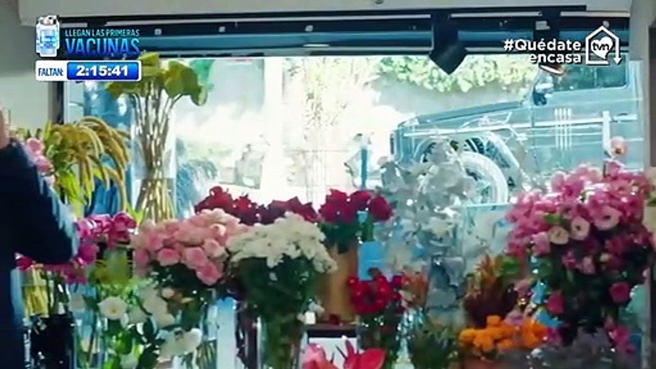 Fruto Prohibido ( Yasak Elma ) Cap 33 completo audio en español