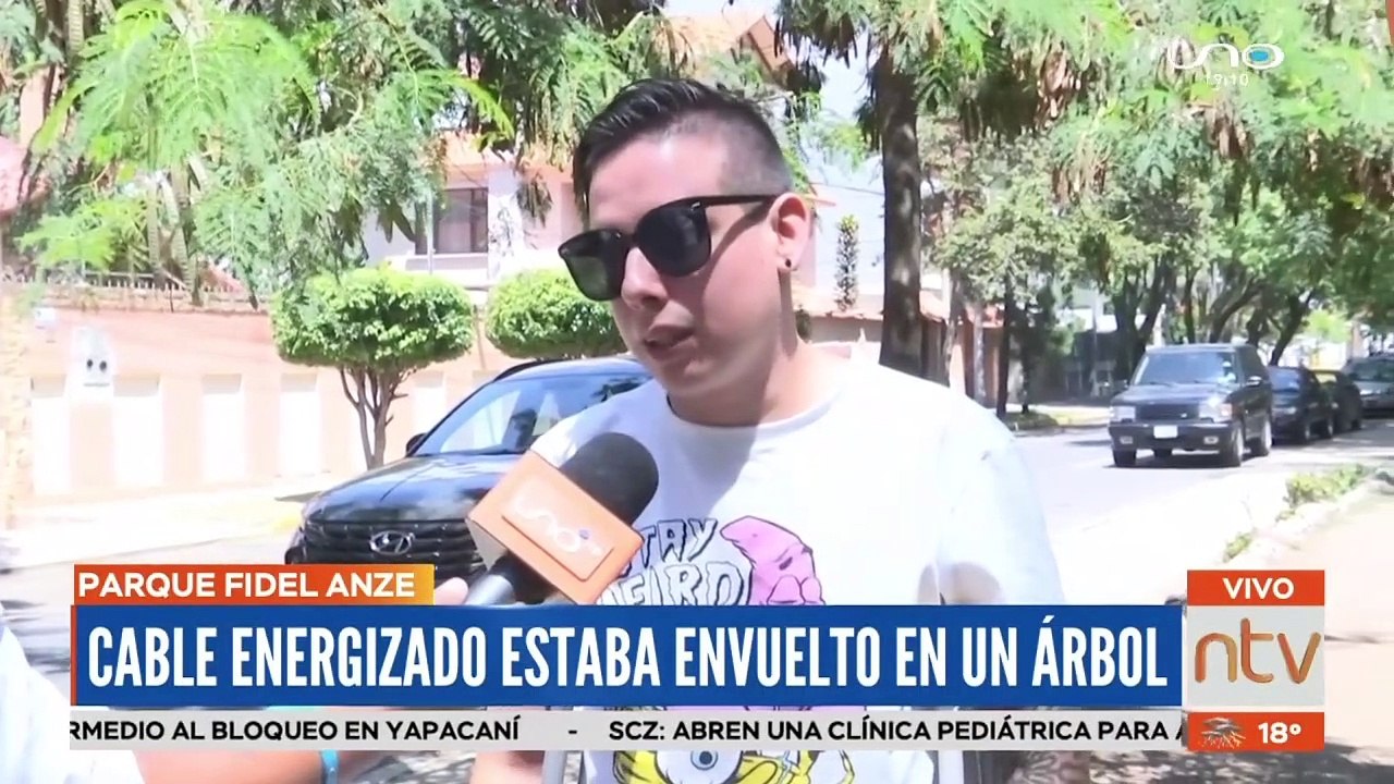 Perrito muere durante un paseo al tocar un cable electrocutado en el Parque Fidel Anze