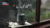 Hum Saath Main Chalte Hai - New TikTok Shayari - Shayari Whatsapp status - Shayari urdu