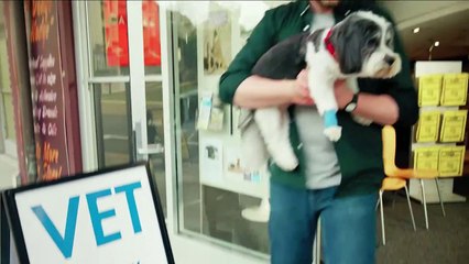 RSPCA Pet Insurance - 'Reasons Great and Small' TV Ad 60 Sec