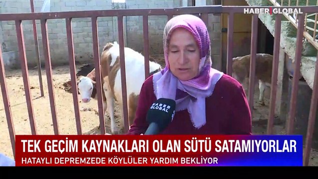 Hataylı depremzede köylüler yardım bekliyor! Tek geçim kaynakları olan sütü satamıyorlar