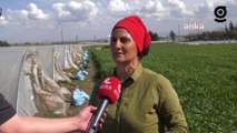 Hataylı depremzede çiftçi Gülhan Özkurt’tan kadınlara mesaj: Kadınlarımız ümidini kesmesinler, hiçbir zaman pes etmesinler
