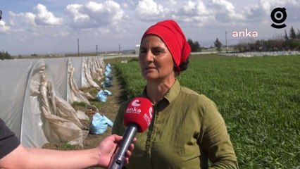 Hataylı depremzede çiftçi Gülhan Özkurt’tan kadınlara mesaj: Kadınlarımız ümidini kesmesinler, hiçbir zaman pes etmesinler