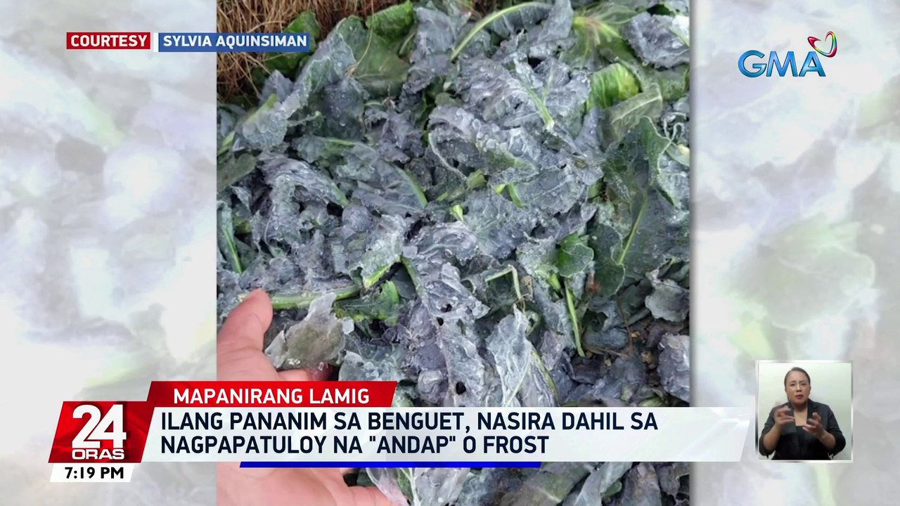 Ilang pananim sa Benguet, nasira dahil sa nagpapatuloy na 