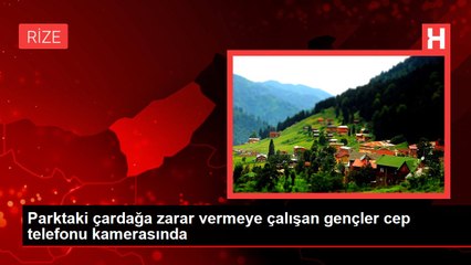 Parktaki çardağa zarar vermeye çalışan gençler kamerada