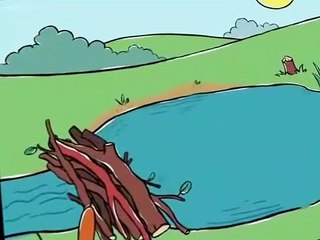 Peep and the Big Wide World S01 E04