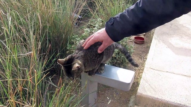 trip to the Athenian Riviera 2023. Stavros Niarchos Foundation Cultural Center
