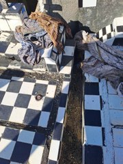 Des tombes profanées au cimetière de Morne-à-l'Eau