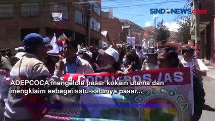 2 Kelompok Petani Koka Protes Perdebatkan Kontrol Pasar Koka di Bolivia