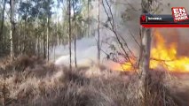 Mersin'de orman yangın: Ekipler müdahale ediyor