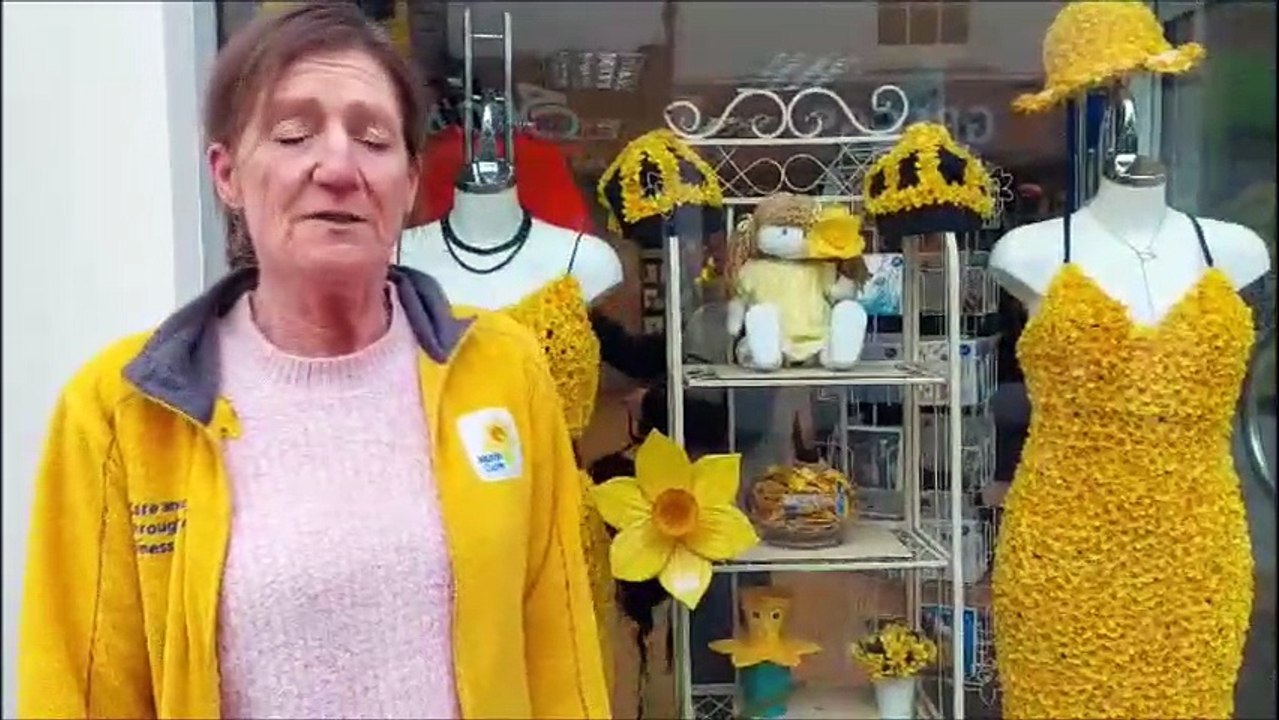 Stunning displays for The Great Daffodil Appeal at Marie Curie Charity