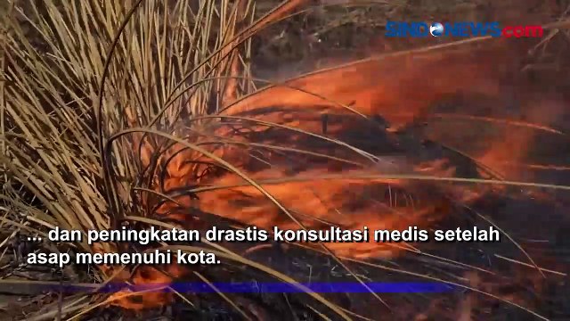 Asap Tebal Akibat Kebakaran Lahan Argentina Merusak Kesehatan Penduduk Setempat