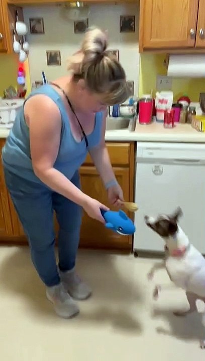Shark beats Chicken for Princess