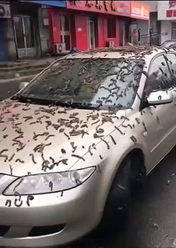 BREAKING: China citizens told to find shelter after it looked like it started to rain worms
