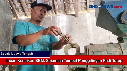 Imbas Kenaikan BBM, Sejumlah Tempat Penggilingan Padi Tutup