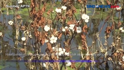 Ratusan Hektar Tanah Terendam Banjir, Pakistan Terancam Kekurangan Pangan