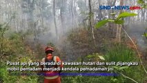 Hutan Jati Terbakar, Asap Kebakaran Sempat Ganggu Lalu Lintas Pantura