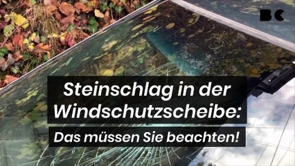 Steinschlag in der Windschutzscheibe: Das müssen Sie beachten!