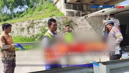 下载视频: Diduga Korban Tabrak Lari, Pencari Kayu Bakar Tewas di Parit Tol Cipali