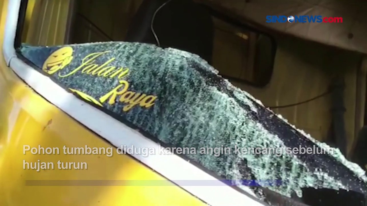 Truk Ringsek Tertimpa Pohon Tumbang di Jalan Ra...
