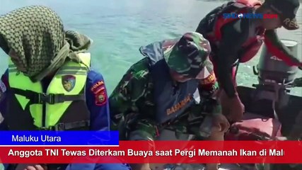 Anggota TNI Tewas Diterkam Buaya saat Pergi Memanah Ikan di Maluku