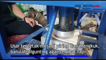 Mahasiswa di jambi Sulap Pelepah Daun Pinang Jadi Piring dan Mangkuk