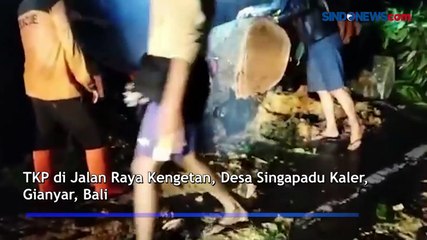 Pohon Tumbang Timpa Pengendara Hingga Kritis di Gianyar