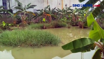 Polisi Buru Pelaku Pedofil di Kalideres, Begini Modusnya