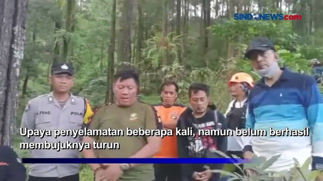 Heboh! Lelaki di Pemalang Panjat Pohon Seminggu Lebih Tak Mau Turun