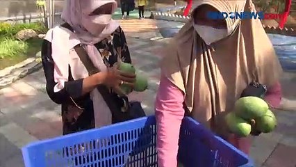 Urban Farming, Masjid di Surabaya Manfaatkan Lahan Kosong untuk Bercocok Tanam
