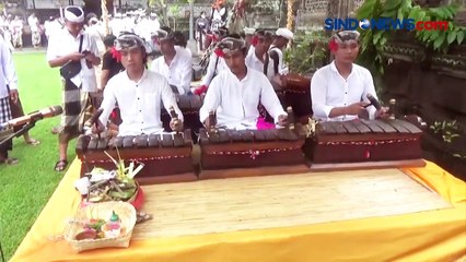 Begini Keseruan Tradisi Perang Ketupat Bantal di Bali