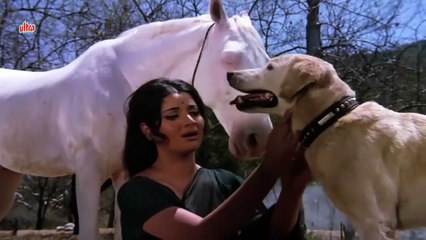 Na Ro Ae Mere Dil  /Yogeeta Bali/ Zameen Aasman  1972 Song