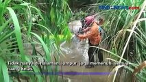 Dipenuhi Lumpur, 3 Sekolah Diliburkan Dampak Banjir Tuban