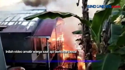 Empat Rumah Warga Ludes Terbakar di Balikpapan, Diduga Akibat Kompor Meledak