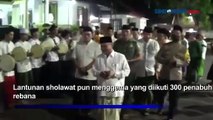 Musik Rebana dan Ribuan Santri Meriahkan Pekan Sholawat Nusantara di Situbondo