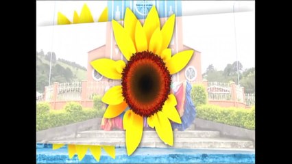 Grupo de Adultos mayores de ASERR