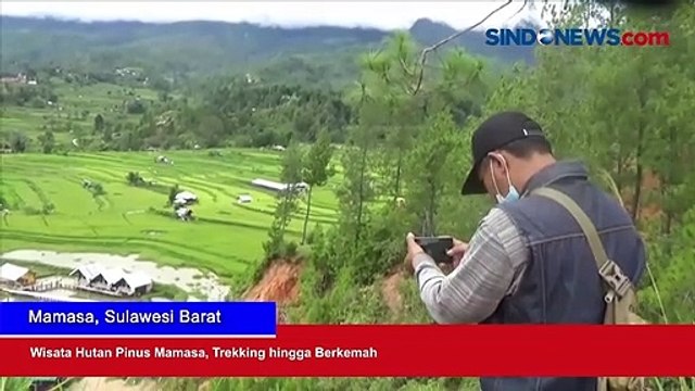 Wisata Hutan Pinus Mamasa, Trekking hingga Berkemah