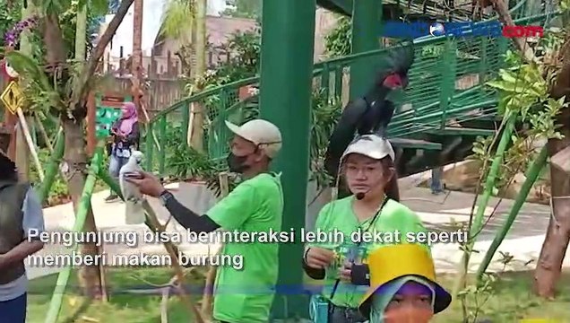 Wahana Baru Ancol Jakarta Bird Land, Ajak Pengunjung Bermain dengan Ratusan Burung