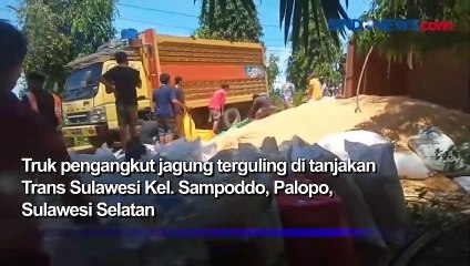 Download Video: Tak Mampu Menanjak, Sebuah Truk Terguling di Trans Sulawesi