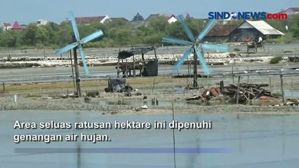 Musim Hujan, Petani Garam Alih Fungsi Lahan Jadi Budi Daya Ikan Air Tawar