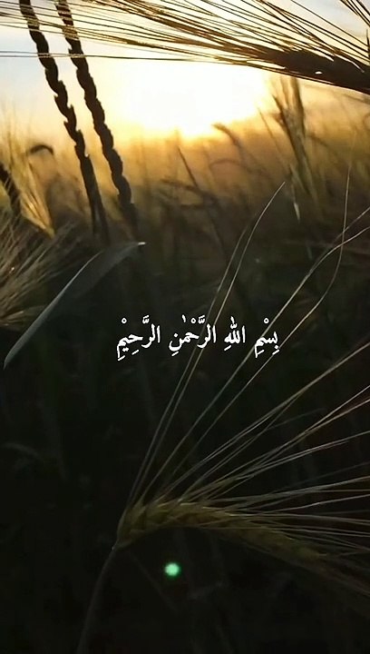 Qur'an Recitation .. || Surah Al-Insyirah .