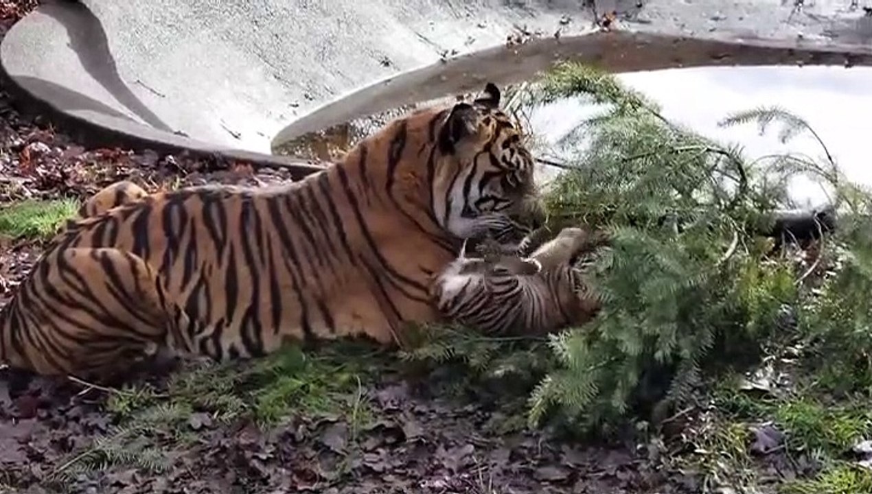 Bath time OUTSIDE!